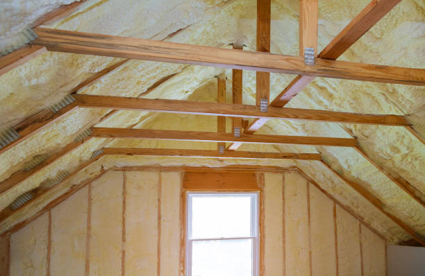 Professional Insulation Contractor in Hazlehurst, GA