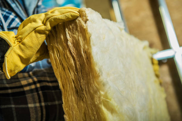 Best Specialized Insulation Services in Hazlehurst, GA