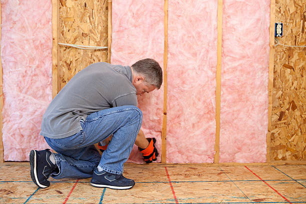Best Eco-Friendly Insulation in Hazlehurst, GA