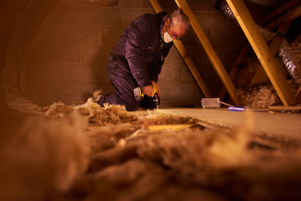 Types of Insulation We Offer in Hazlehurst, GA